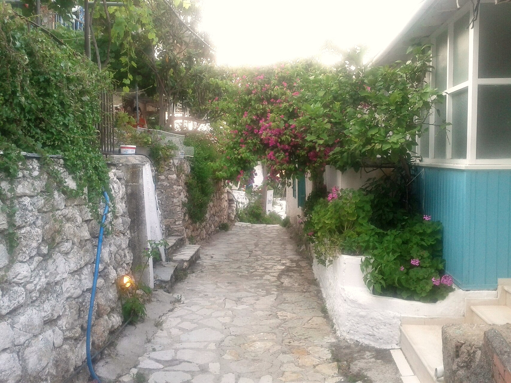 Flower-filled lane in the village of Agios Nikitas - Lefkada, Ionian Islands - Greece © spheeris / Wikimedia (CC BY 3.0)