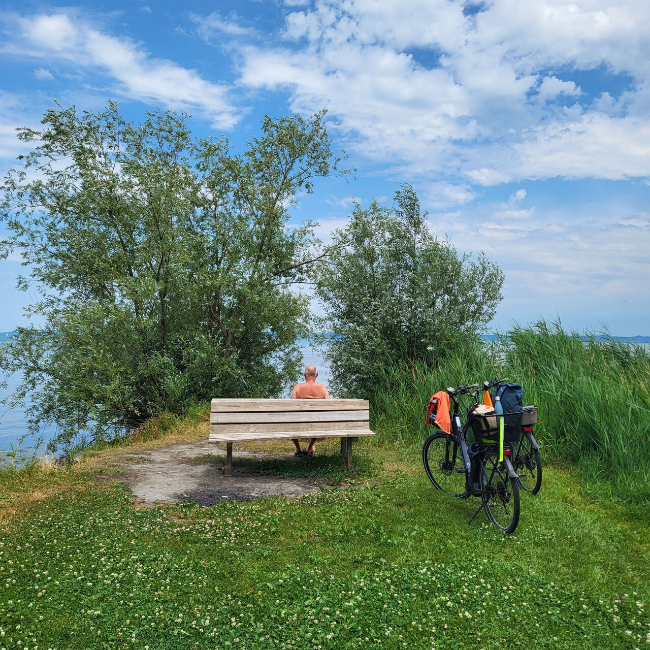 Tour du Lac de Constance et les Chutes du Rhin - Photo partagée par Véronique