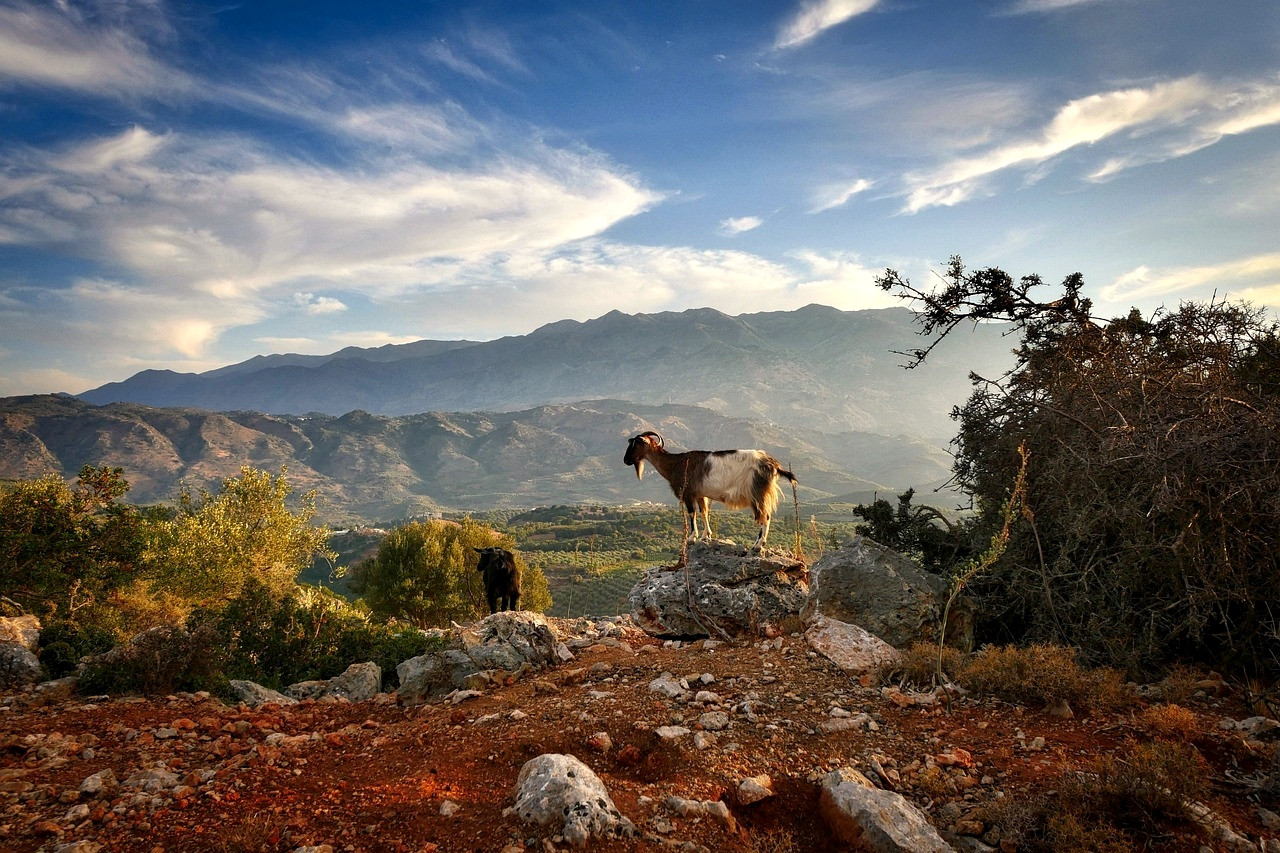 Golden autumn light on the Cretan hills - Crete - Greece