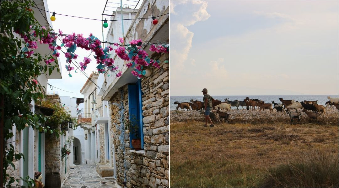 Responsible tourism in Greece - Kelifos