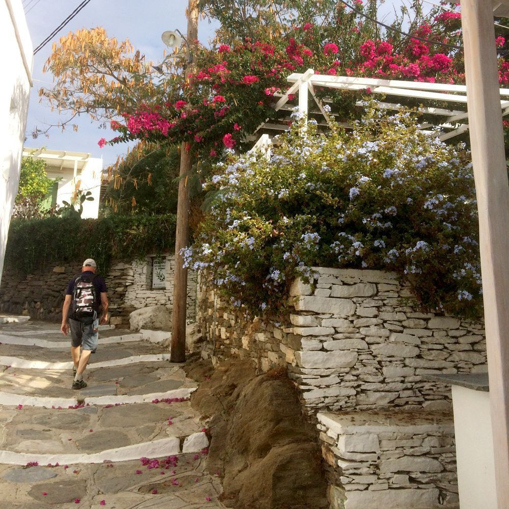Walker in a flower-filled lane in spring - Apollonia, Sifnos - Greece