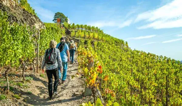 Hiking in the Samaria Gorge - Crete - Greece