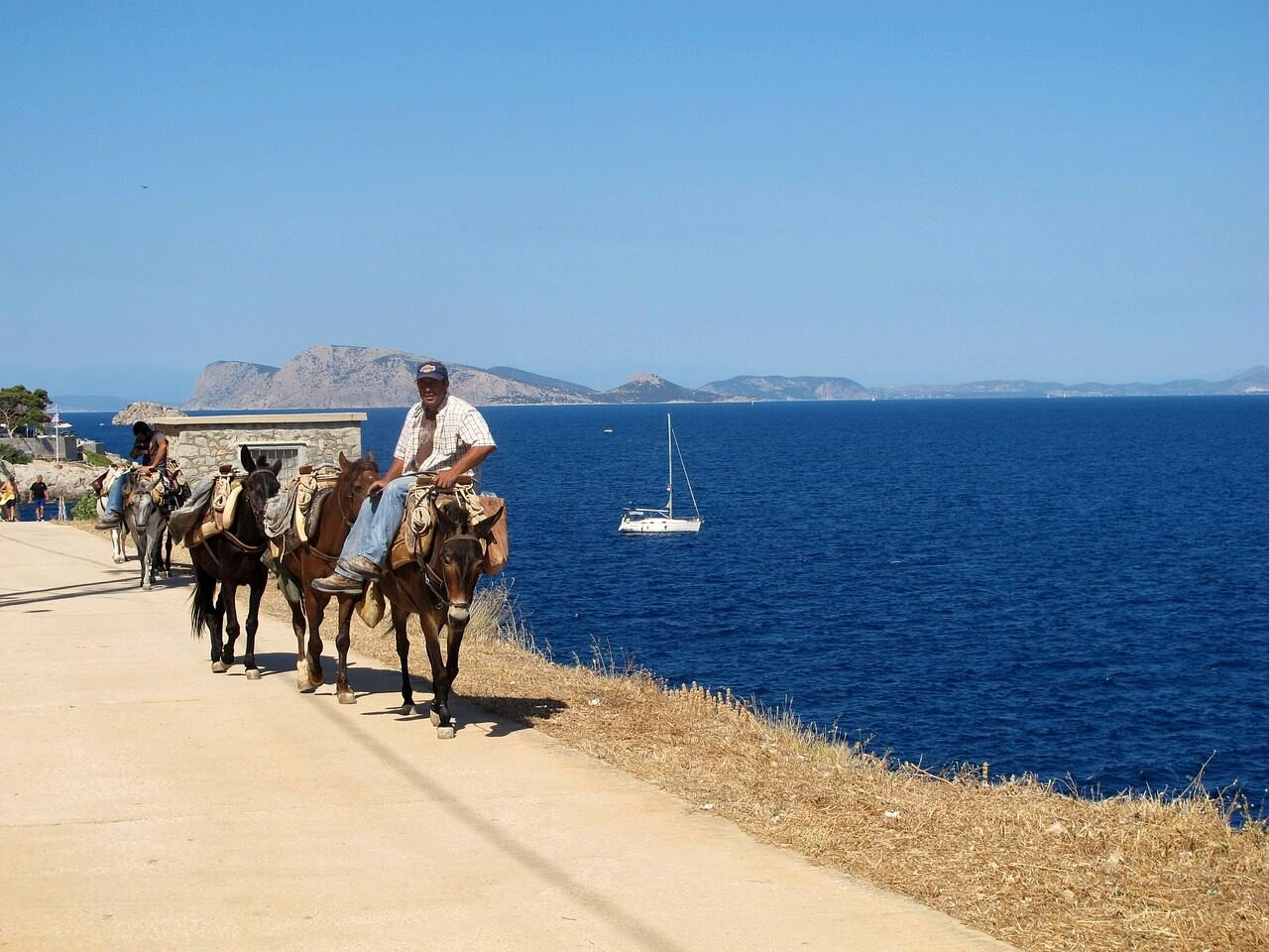 Coastal path and mules by the sea - Hydra - Greece