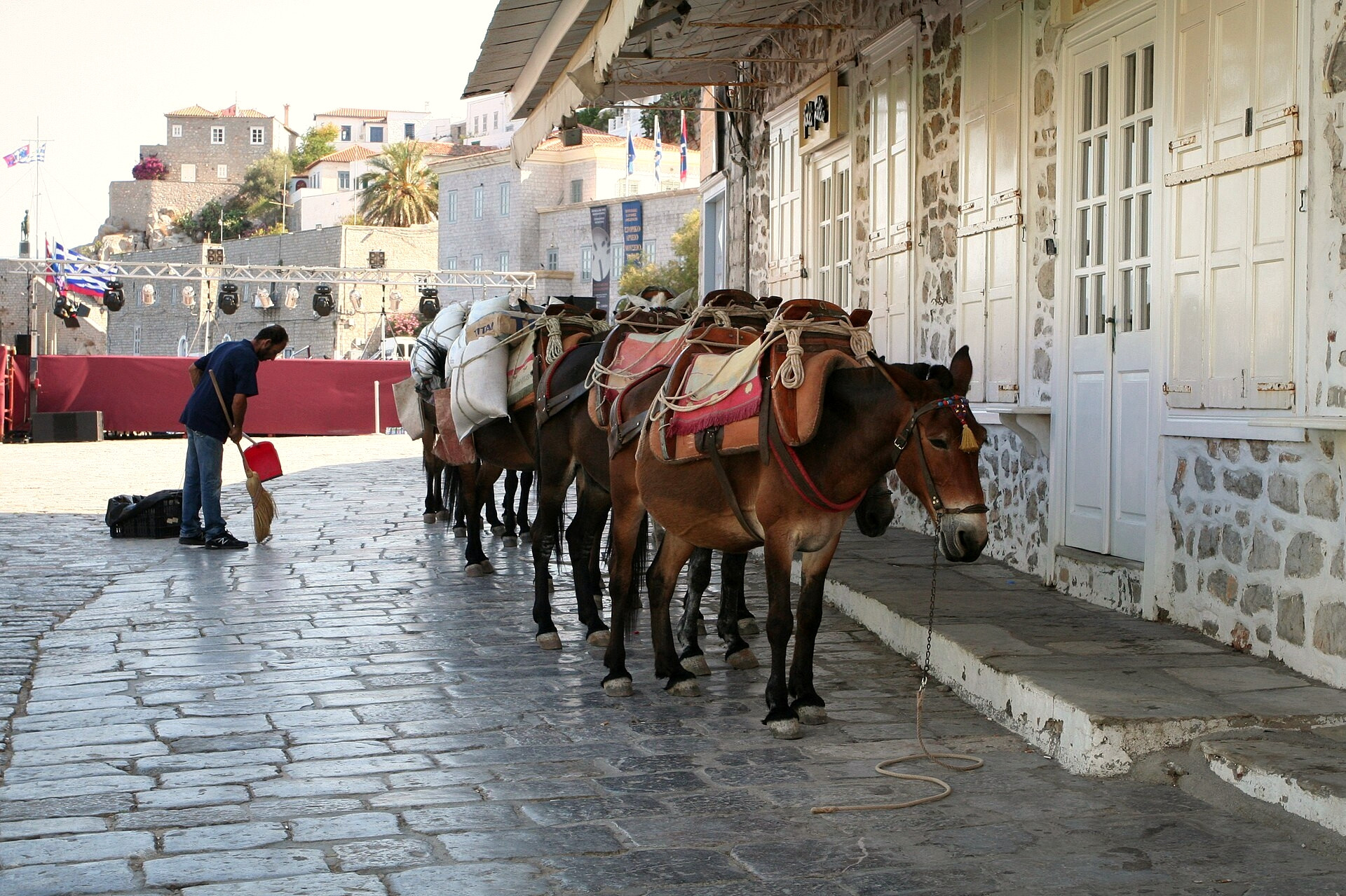 Pack mules lined up on the harbour quay - Hydra, Greece © Sharon Mollerus / Wikimedia (CC BY 2.0)