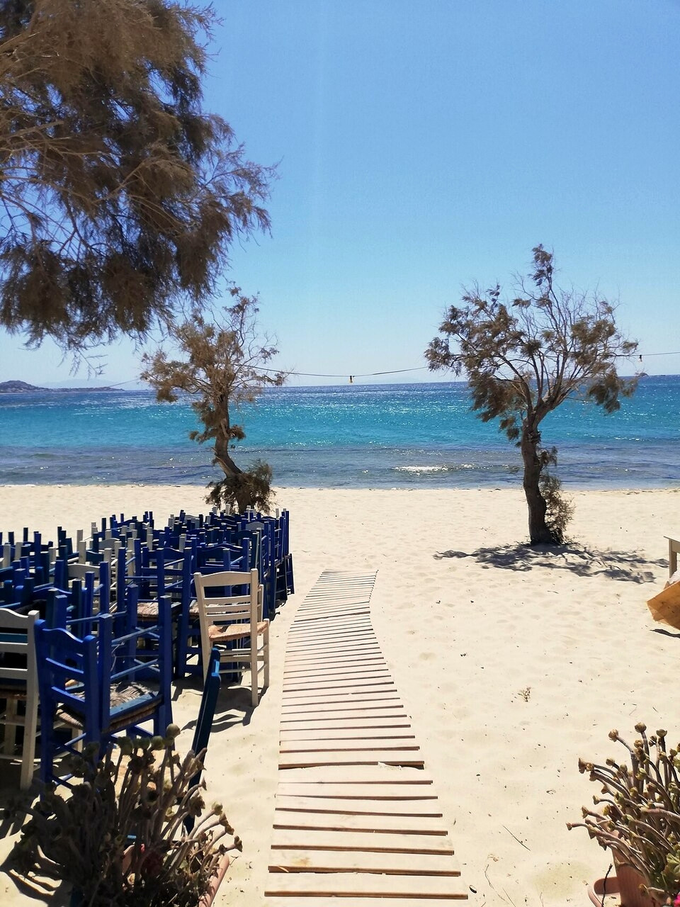 The sandy beach of Plaka and its tamarisks - Naxos, Cyclades - Greece © Lavinia Iazzetti / Wikimedia (CC BY-SA 4.0)