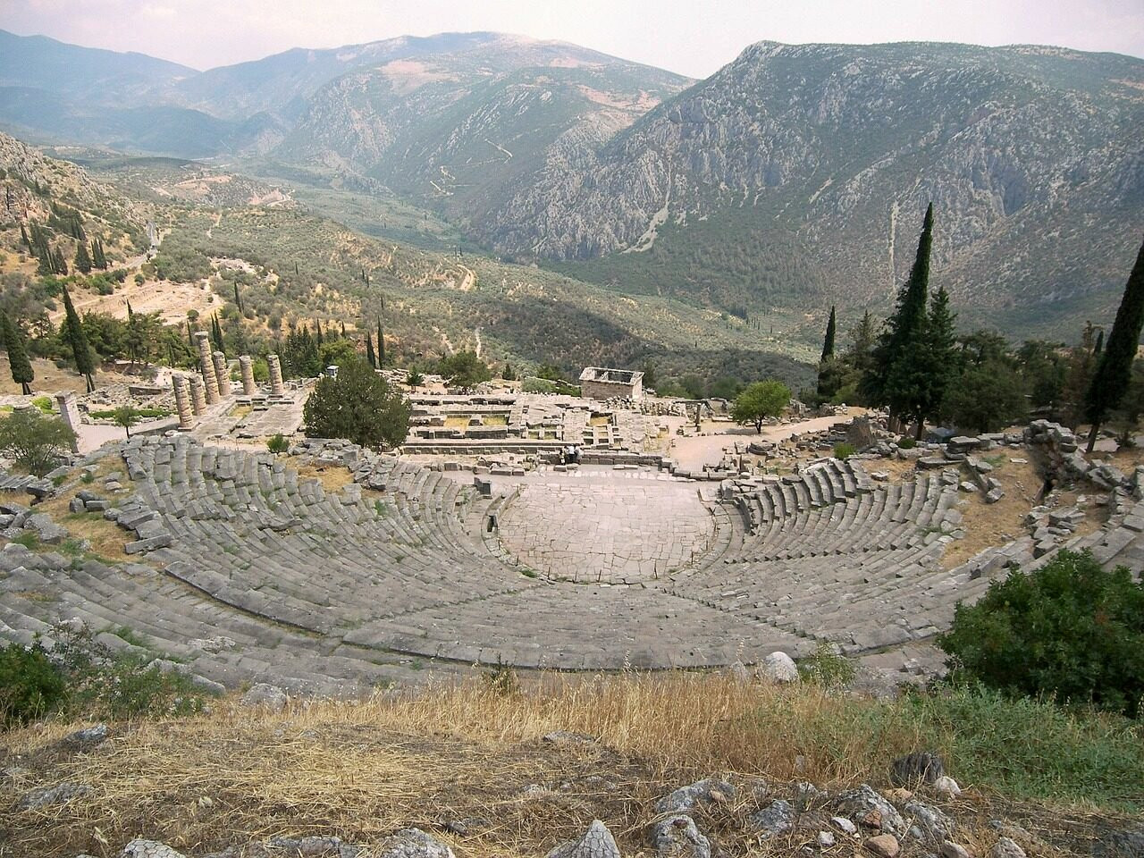 The olive valley at the foot of the ancient theatre of Delphi