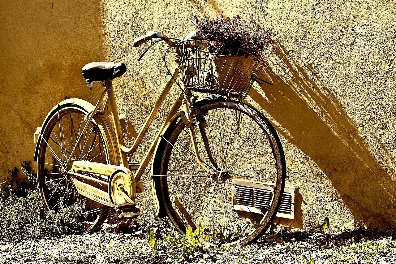 Bike and its basket of flowers against a sunlit wall - Corfu - Greece