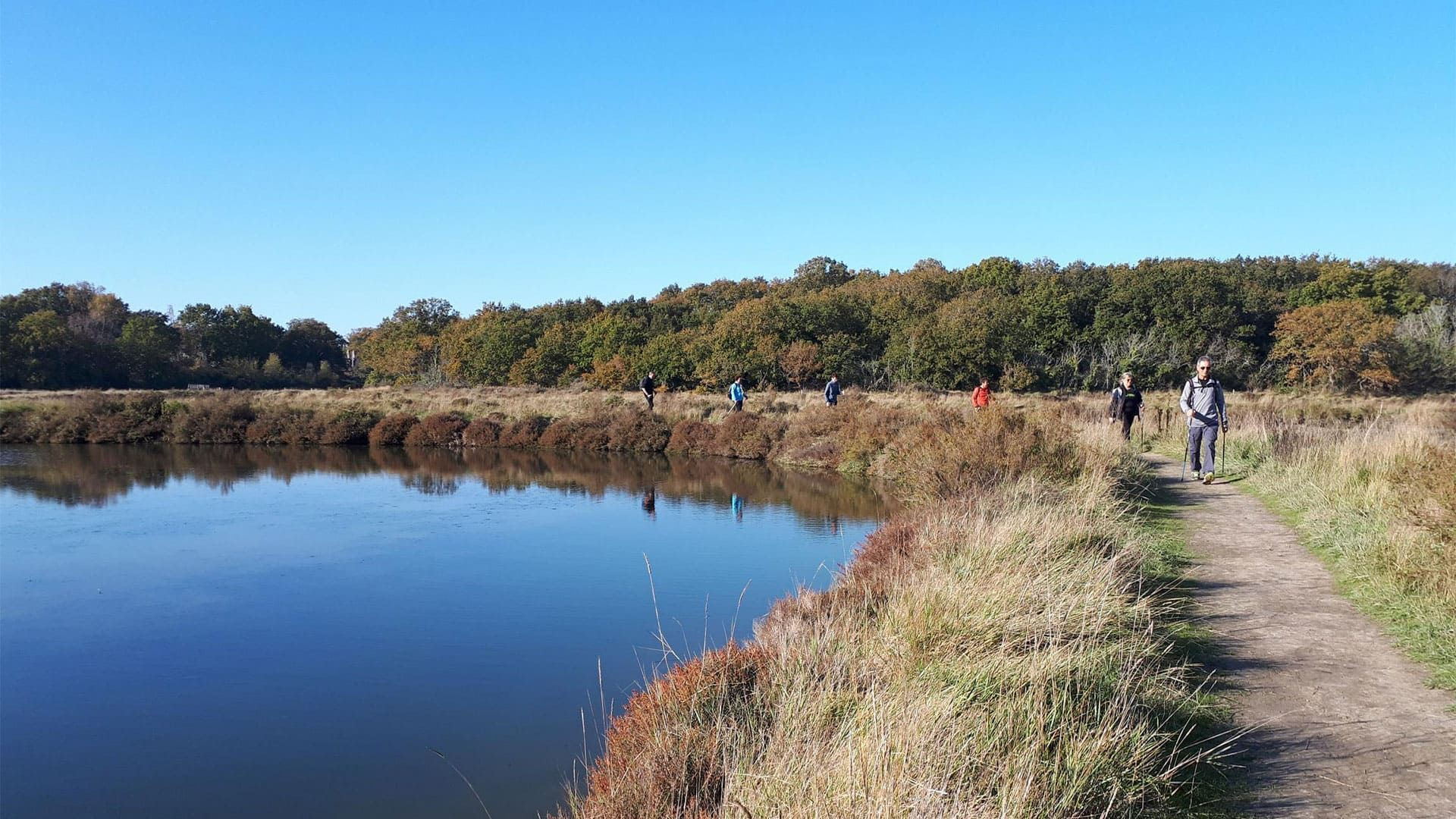 Promeneurs sur un sentier au bord de l'eau - marais de Guérande - Loire-Atlantique